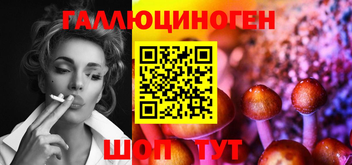 даркнет сайт  Галлюциногенные грибы Cubensis  Вход с VPN  Псилоцибиновые грибы MAGIC MUSHROOMS  Губкин 